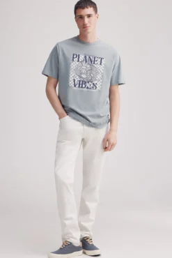 Camiseta planeta você vive