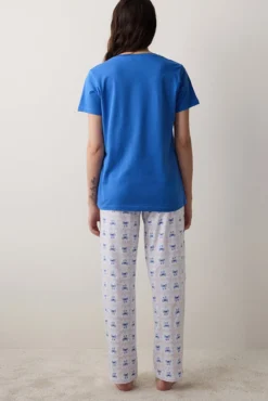 Conjunto de pijama comprido estampado azul