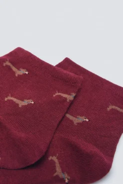 Meias curtas para cães