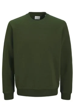 Moletom Plus Sweatshirt regular fit
