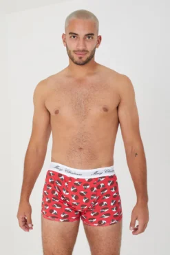 Pack de 3 boxers com impresso