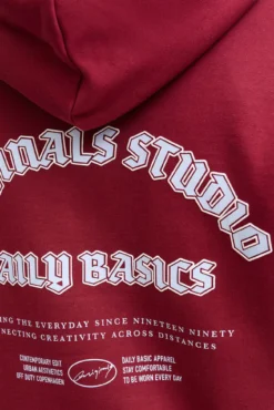 Sweatshirt capuz do estúdio