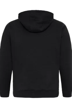 Sweatshirt com capuz