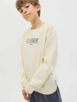 Sweatshirt de regular fit