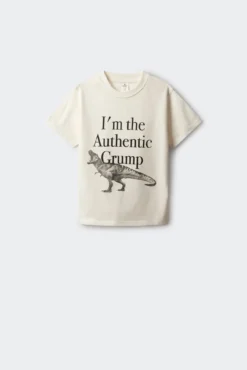 T-shirt de dinossauro para menino