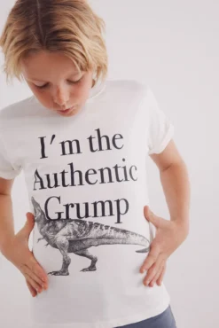 T-shirt de dinossauro para menino