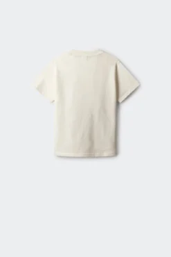 T-shirt de dinossauro para menino